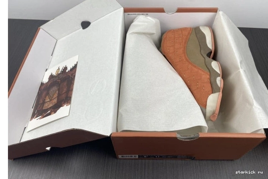 13 JORDAN CANTEEN-TERRA AT3102-200 SEPIA X AT3102-200 LOW CLOT STONE AIR BLUSH 0219
